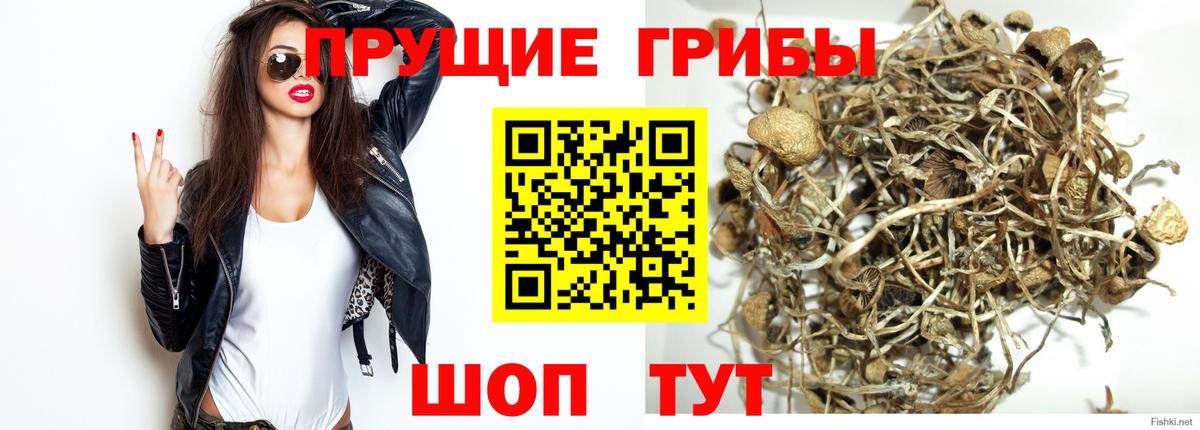 Кулебаки  Псилоцибиновые грибы GOLDEN TEACHER  Вход с VPN 